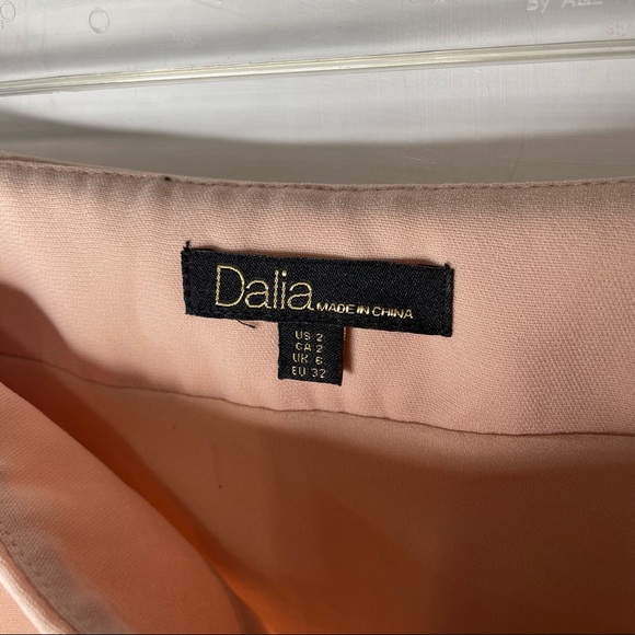 Dalia petal pink pleated skirt Size 2 - Picture 7 of 10